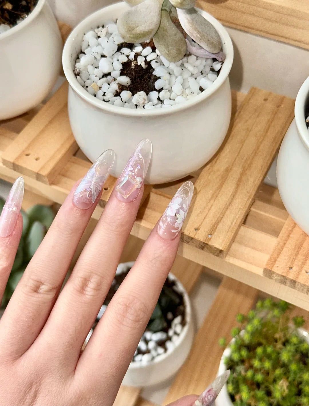 Wings & Petals